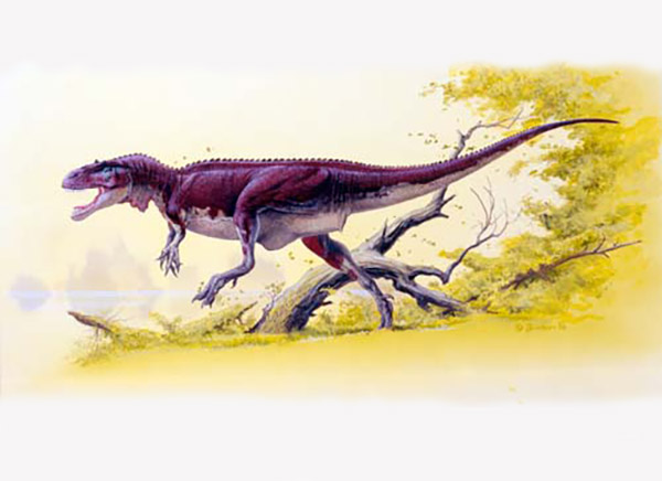 Imagem do Afrovenator