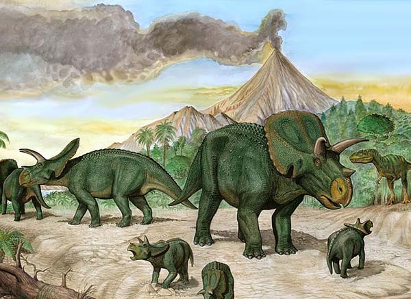 Imagem de Arrhinoceratops