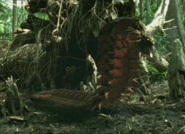 Imagem de Arthropleura