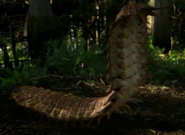 Imagem de Arthropleura