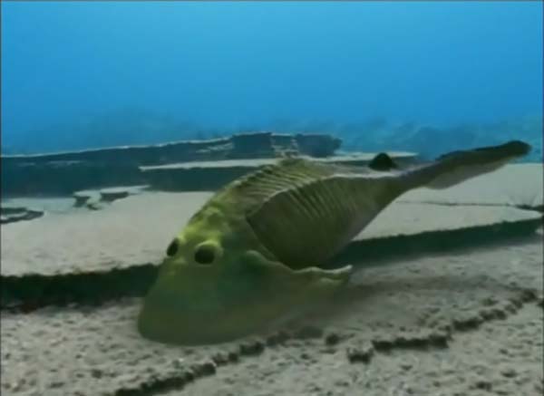 Imagem de Cephalaspis