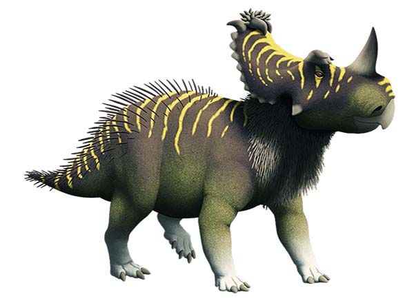 Imagem de Coronossauro 