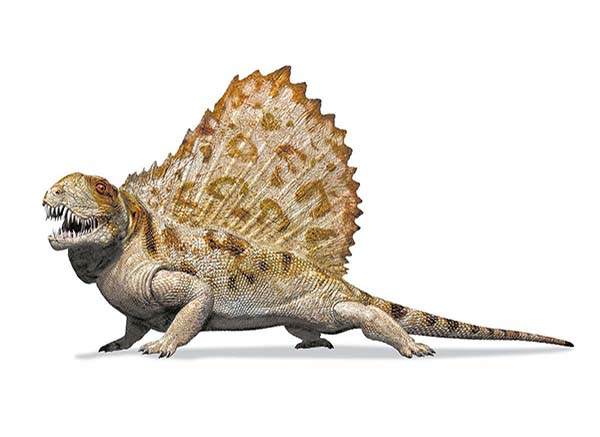 Imagem de Dimetrodon