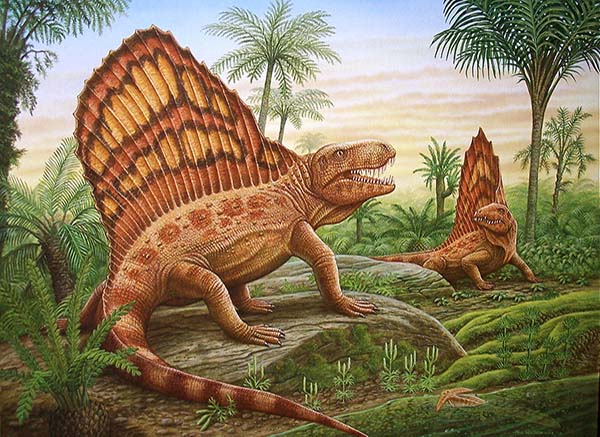 Imagem de Dimetrodon