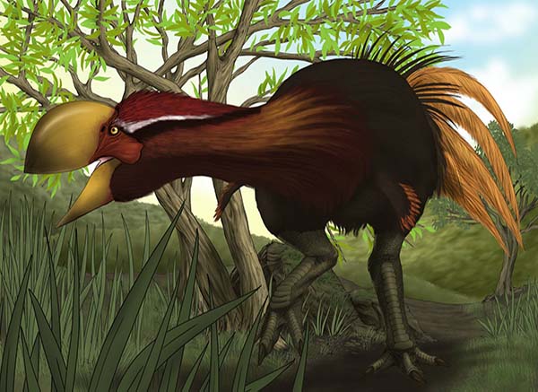 Imagem de Dromornis