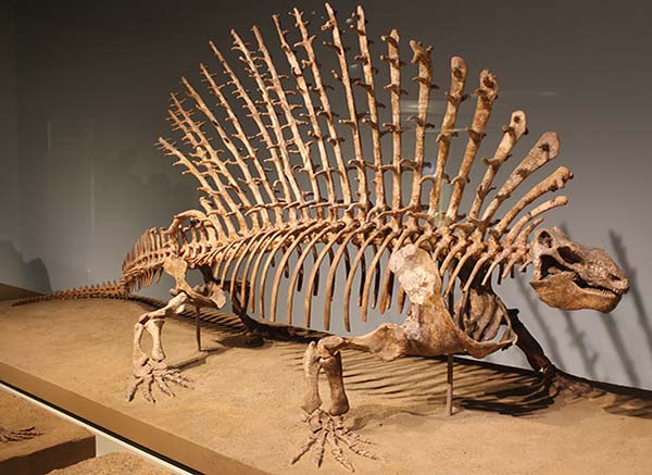 Imagem de Edaphosaurus