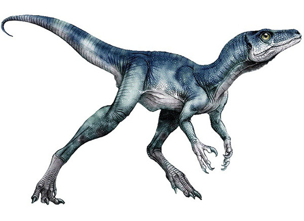 Imagem do Eoraptor