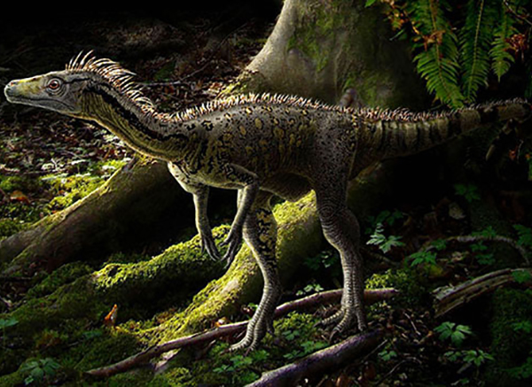Imagem do Eoraptor