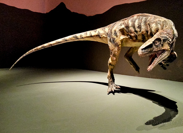 Imagem do Eoraptor