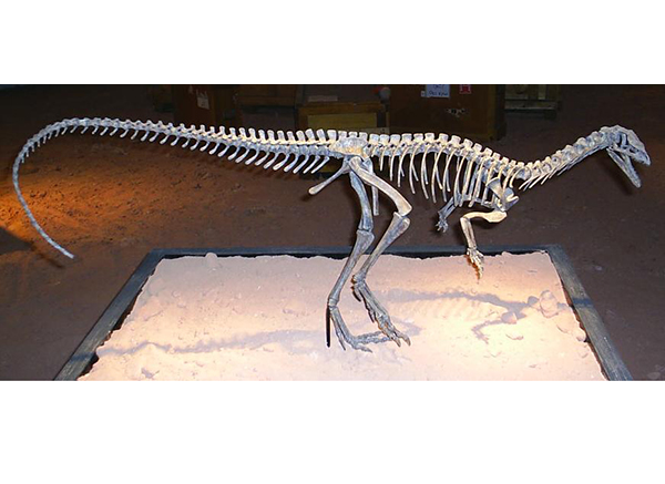 Imagem do Eoraptor