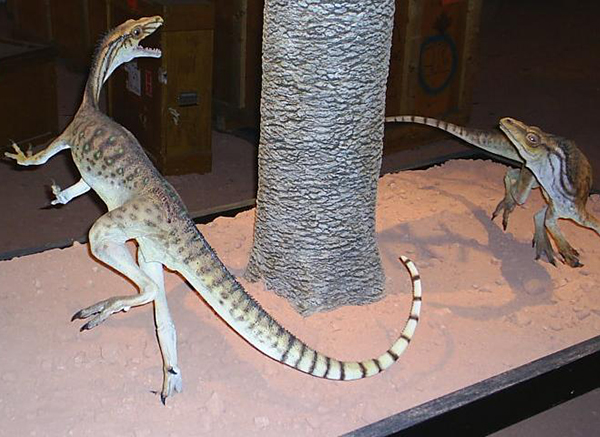 Imagem do Eoraptor