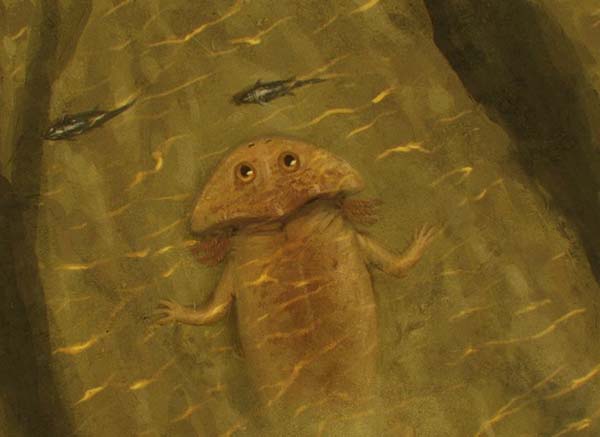 Imagem de Gerrothorax
