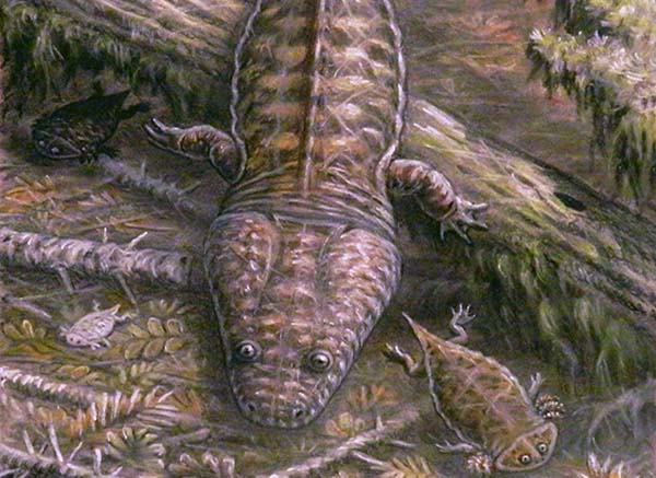 Imagem de Gerrothorax