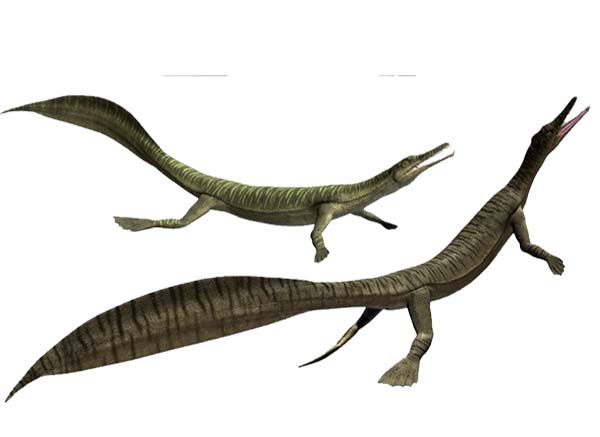 Imagem de Mesossauro