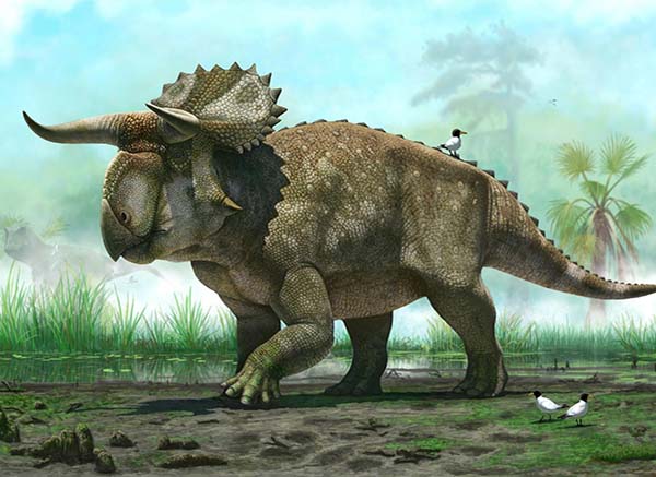 Imagem de Nasutoceratops