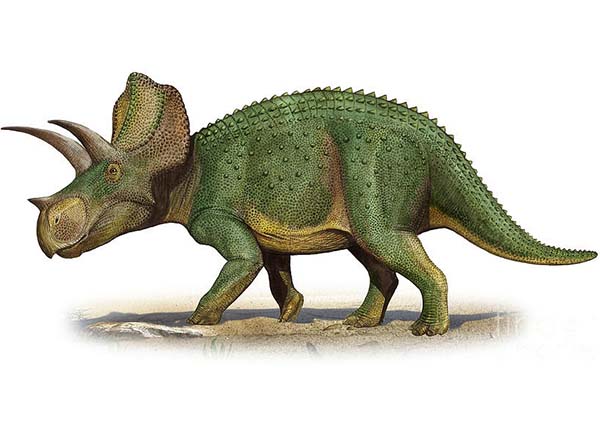 Imagem de Ojoceratops
