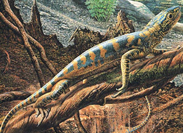 Imagem de Petrolacosaurus