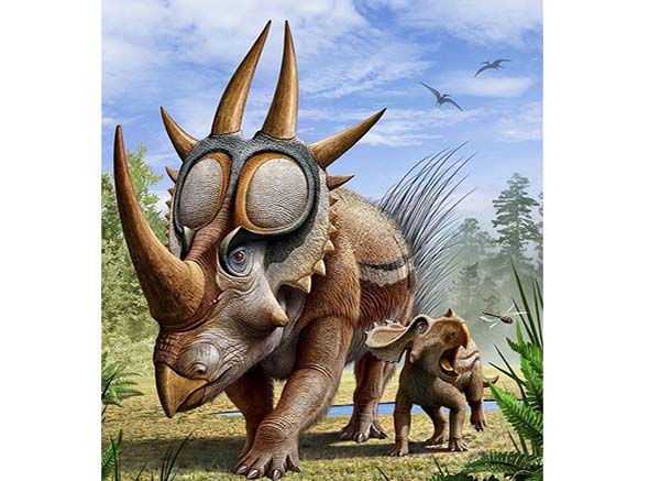 Imagem de Rubeosaurus