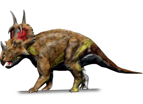 Imagem de Spinops