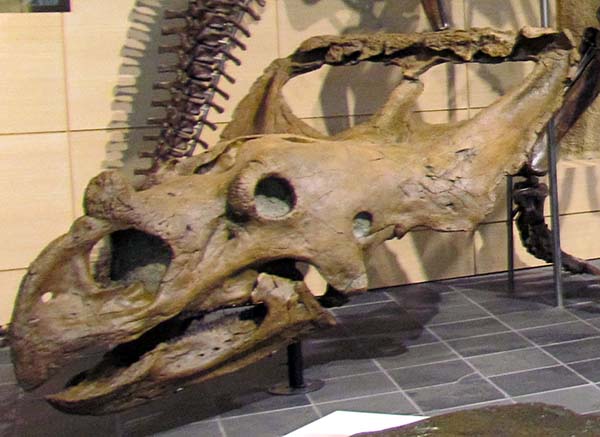 Imagem de Vagaceratops