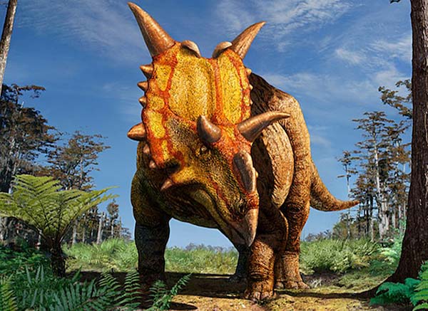 Imagem de Xenoceratops