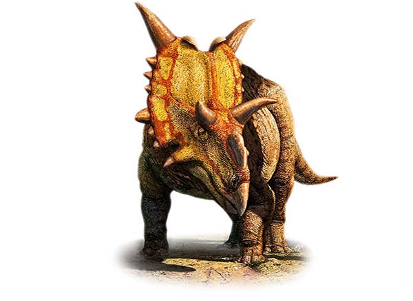 Imagem de Xenoceratops