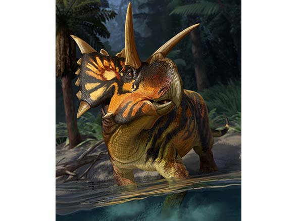 Imagem de Xenoceratops